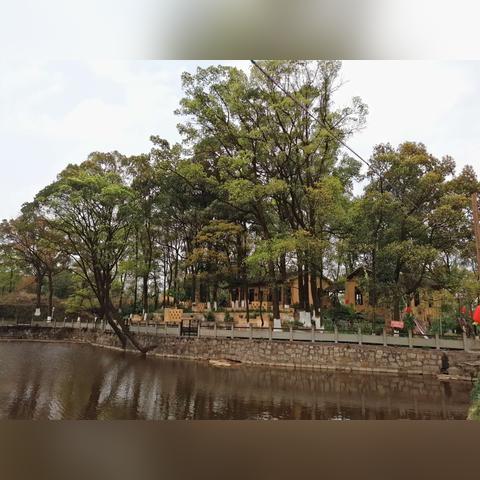 江南百景图梨花获取攻略:装饰梨花快速入手技巧揭秘 江南百景图梨花获取攻略:装饰梨花快速入手技巧揭秘