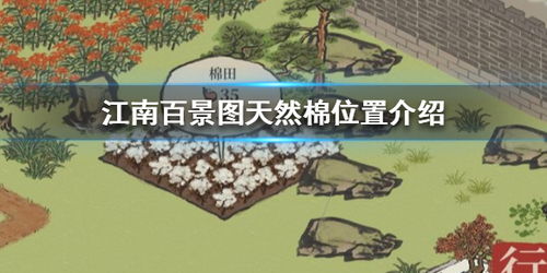 江南百景图棉花田种植攻略：高效提升产量必备数量揭秘