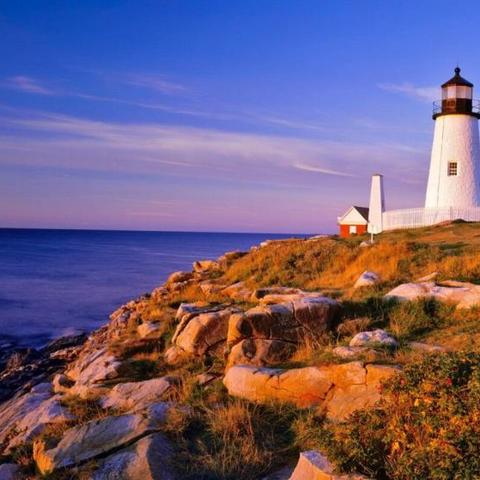 影舞技能深度解析：揭秘新大陆梦想之巅实力奥秘