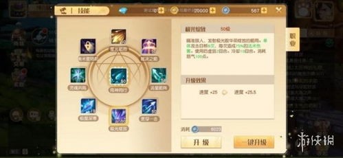 梦想新大陆光羽技能解析：解锁全新战斗奥秘攻略