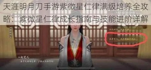 紫薇星运攻略:天涯明月刀手游紫薇选择最佳方案深度解析 紫薇星运攻略:天涯明月刀手游紫薇选择最佳方案深度解析