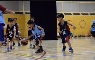 篮球游戏盘点:揭秘2023年热门篮球游戏推荐,畅玩新体验 篮球游戏盘点:揭秘2023年热门篮球游戏推荐,畅玩新体验