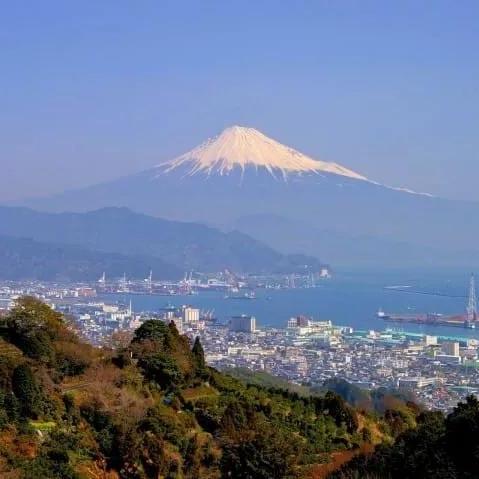 卡通游戏精选下载热榜，海量热门卡通游戏一网打尽