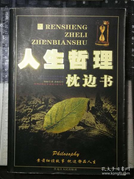 宫位争夺，人生哲理尽在《征战王权》深度解析