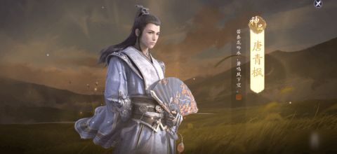 《天涯明月刀》唐青枫好感度飙升秘籍：解锁提升攻略新境界