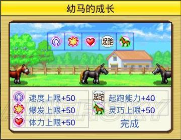 赛马牧场物语攻略：重玩必看通关秘籍，解锁牧场新境界