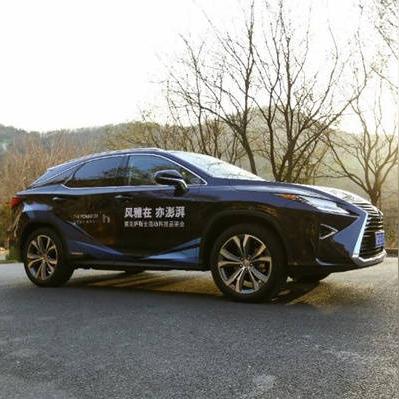 最强蜗牛回归码轻松激活攻略，解锁全新冒险之旅