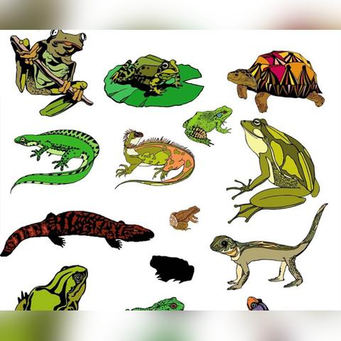 光遇预言山谷位置揭秘：探索神秘山谷的隐藏秘境