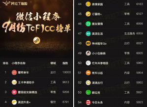 《以闪亮之名》双人合影模式攻略：高效技巧解锁秘籍