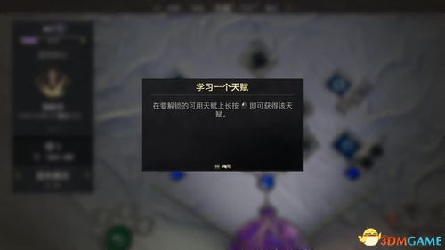 理查一世天赋最佳配置攻略：揭秘高效点法技巧