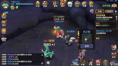 石器时代觉醒宠物挑选攻略:揭秘高效养成技巧 石器时代觉醒宠物挑选攻略:揭秘高效养成技巧