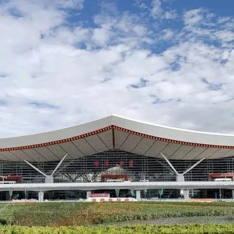 雪莲花瓣获取攻略：揭秘高效花瓣收集技巧