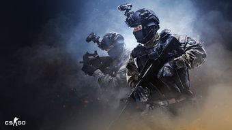 十大耐玩单机FPS游戏盘点：揭秘热门耐玩力排行榜