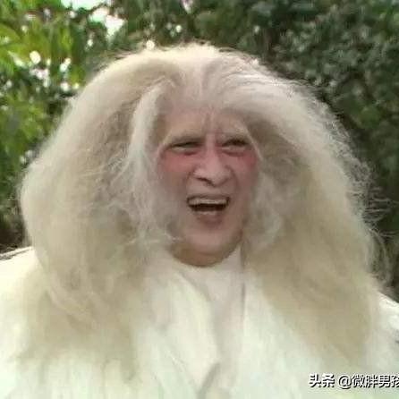 侠客宠物快速上战场攻略，解锁宠物阵容新玩法