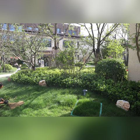 天涯明月刀手游快速升级雅士秘籍:高效攻略助你轻松突破境界 天涯明月刀手游快速升级雅士秘籍:高效攻略助你轻松突破境界