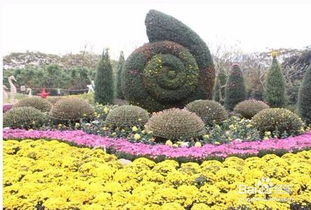 江南百景图菊花花坛实用攻略:揭秘花坛多重妙用,提升园林美景! 江南百景图菊花花坛实用攻略:揭秘花坛多重妙用,提升园林美景!