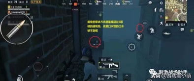 《暗夜幽芳攻略》新手必看！掌握忍者必须死3生存技巧