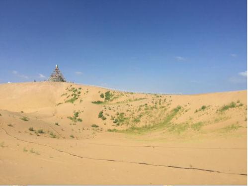 沙漠地形深度解析：揭秘《鸿图之下》独特气象影响