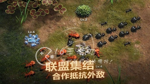 蜂牛载具阵法生存攻略：掌握独门技巧，战无不胜