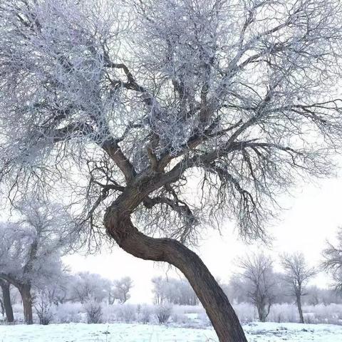 侠客书画材料速得攻略：高效获取秘籍大揭秘