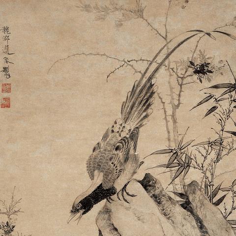 《天涯明月刀》手游开封奇珍攻略：高效通关秘籍大揭秘！