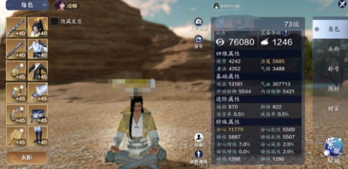 天涯明月刀手游洗练技巧揭秘：高效洗练攻略助力实力飞跃