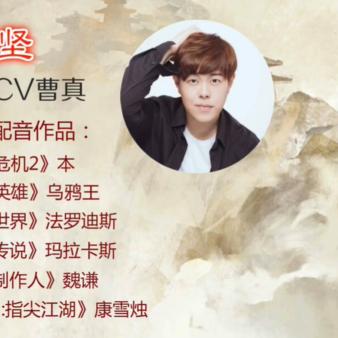 董卓实战攻略：高效阵容搭配技巧解析