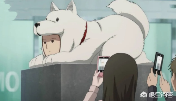 警犬侠实力大揭秘：一拳超人五星英雄最强解析