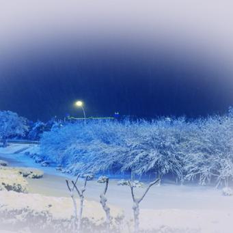 天涯明月刀手游如烟案破解秘籍:高效侦破技巧大公开 天涯明月刀手游如烟案破解秘籍:高效侦破技巧大公开