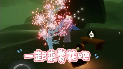 光遇炸花攻略:揭秘高效炸花技巧,轻松解锁花海秘境 光遇炸花攻略:揭秘高效炸花技巧,轻松解锁花海秘境