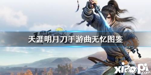 天涯明月刀手游侠影招募令，独家揭秘：超值优惠价格大放送！