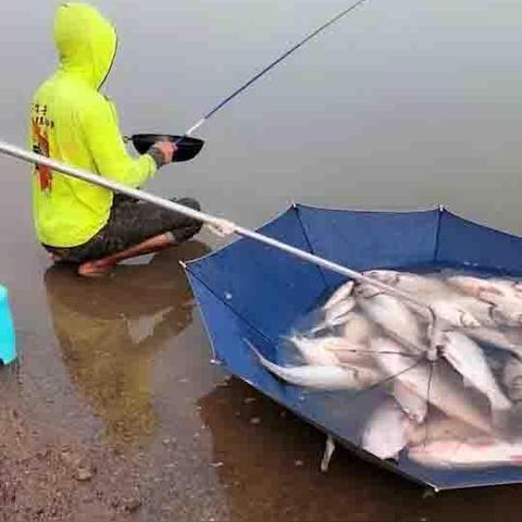 《天涯明月刀》手游钓鱼大赛攻略:独家参赛技巧揭秘,轻松夺冠! 《天涯明月刀》手游钓鱼大赛攻略:独家参赛技巧揭秘,轻松夺冠!