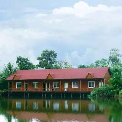 《天涯明月刀》手游解锁多人动作技巧大揭秘，轻松上手攻略分享！