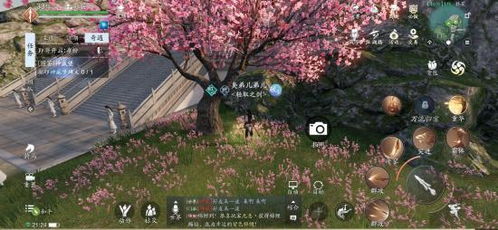 《天涯明月刀手游》移花选会心还是暗伤？属性搭配攻略解析，轻松提升战斗力！