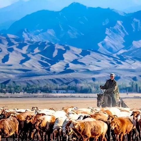 奇幻游戏人气巅峰盘点：十大必玩佳作推荐，探索未知奇幻世界