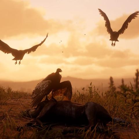 《观鸟令》升级攻略：解锁魔法少女最强技能，高效获取材料秘籍