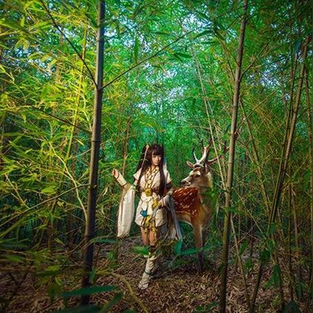 曲无忆三绝仙子位置详解与属性攻略，快速掌握天涯明月刀手游秘境！