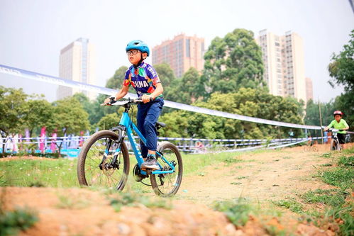 2024年度热门单车游戏推荐,下载排行必看! 2024年度热门单车游戏推荐,下载排行必看!