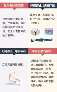 华夏人生黄热病救治攻略:高效急救技巧揭秘 华夏人生黄热病救治攻略:高效急救技巧揭秘