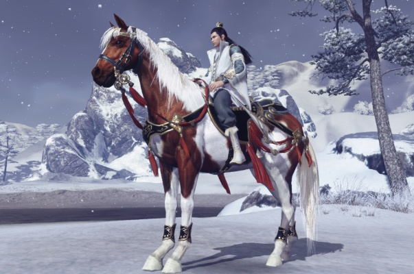 《天涯明月刀》手游独门秘籍：轻松解锁马坐骑，掌握高效获取技巧