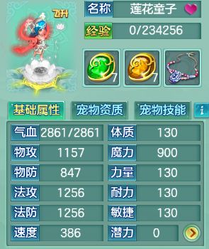 修仙人生开局必备!属性选择攻略揭秘,助你一飞冲天 修仙人生开局必备!属性选择攻略揭秘,助你一飞冲天