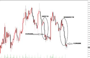 肉鸽玩法攻略揭秘：掌握必胜秘籍，轻松登顶巅峰