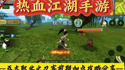 热血江湖手游正派刺客技能搭配攻略：高效升级必备秘籍