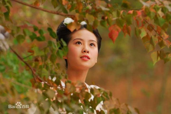 聊斋辛十四娘灵将解析：属性技能深度攻略，助你轻松上分