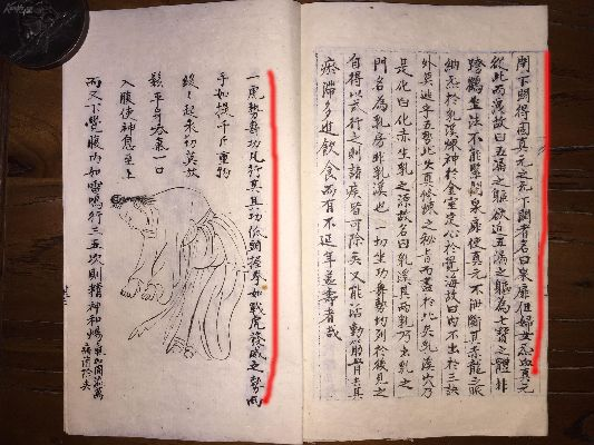 宗女修修炼秘籍：高效做媒技巧全解析