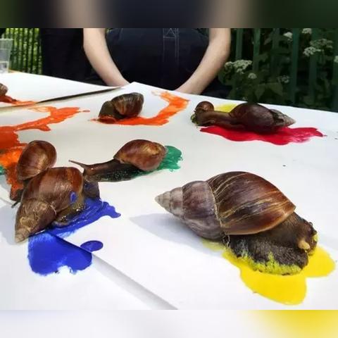 最强蜗牛猴子头像获取攻略：GM头像独家揭秘！