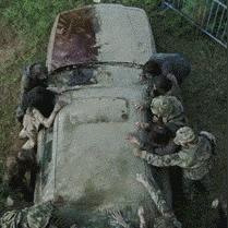 黎明觉醒生存指南:感染者丛林玩法攻略全解析 黎明觉醒生存指南:感染者丛林玩法攻略全解析