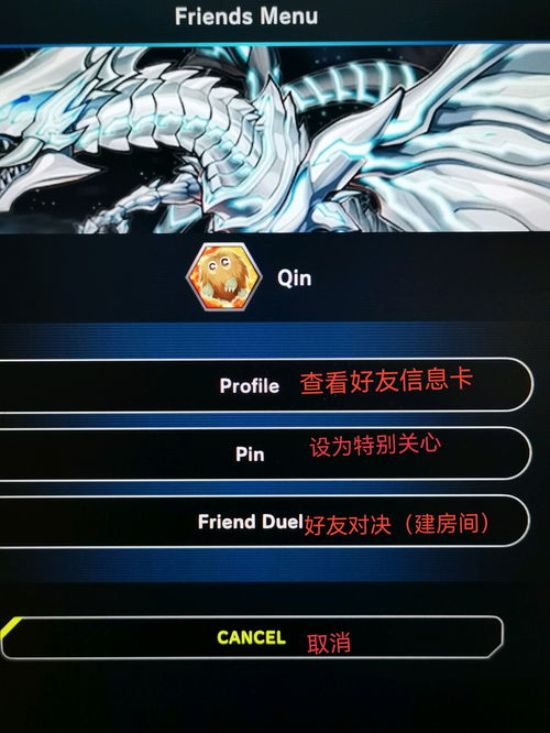 萌新必看！瑟琳+诺克斯强力配队攻略，解锁游戏新境界