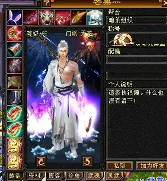 天龙八部2飞龙战江湖：鸡胸实战攻略，提升战斗力新技巧揭秘