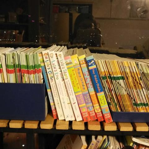 《活下去百天攻略》萌新必看：2.0避坑秘籍，轻松通关指南！